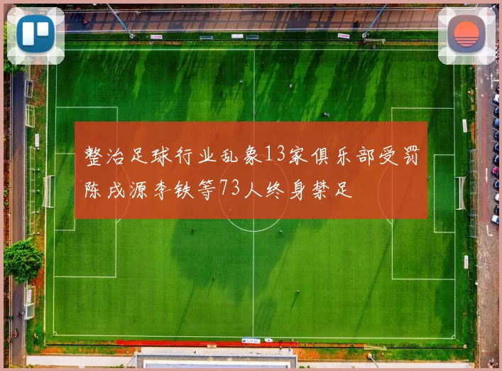 整治足球行业乱象13家俱乐部受罚陈戌源李铁等73人终身禁足
